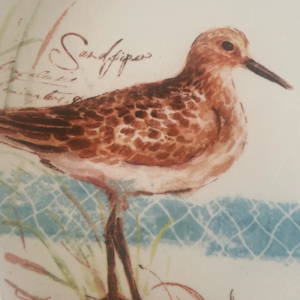 Vintage Pier 1 Imports Earthenware Sandpiper Plate